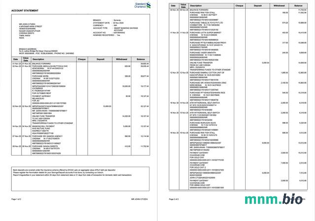 India SBI wyciąg bankowy szablon Worda i PDF, 2 strony